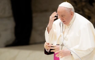 Imagen referencial del Papa Francisco. Cru00e9dito: Daniel Ibu00e1u00f1ez/ACI Prensa 