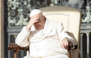 El Papa Francisco en la Audiencia General. Cru00e9dito: Daniel Ibu00e1u00f1ez/ACI Prensa 