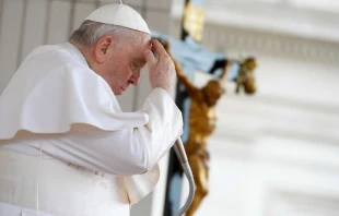 Imagen referencial del Papa Francisco en una audiencia general. Cru00e9dito: Vatican Media. 