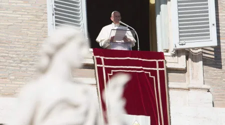 Papa Francisco: Que en el mundo prevalezca la solidaridad y no la guerra ni el odio