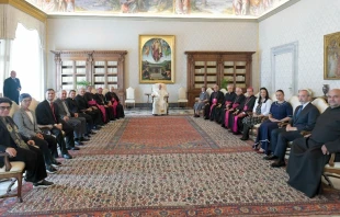 El Papa Francisco en la Audiencia con Fondo Populorum Progressio. Cru00e9dito: Vatican Media 