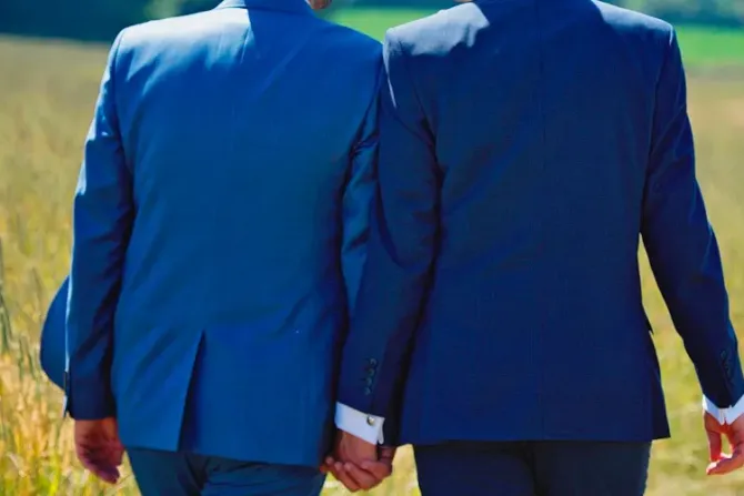 Expertos de España, Italia y Chile analizarán proyecto de ley “matrimonio homosexual”