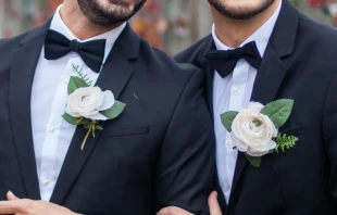 Foto referencial. Cru00e9dito: Pixoos (CC BY-SA 4.0) 