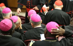 Foto referencial Daniel Ibu00e1u00f1ez / ACI Prensa 