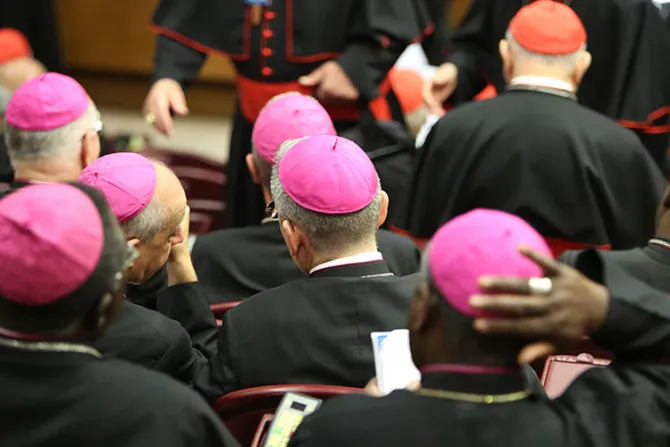 Sínodo: Once cardenales unen fuerzas para defender matrimonio y familia en nuevo libro