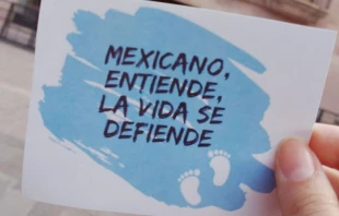 Cru00e9dito: Pasos por la Vida. 