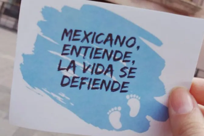 “Nos quieren desaparecer incluso desde antes de nacer”, denuncian mexicanos [FOTOS]