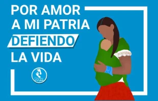 Afiche oficial. Cru00e9dito: Cortesu00eda Pasos por la Vida. 