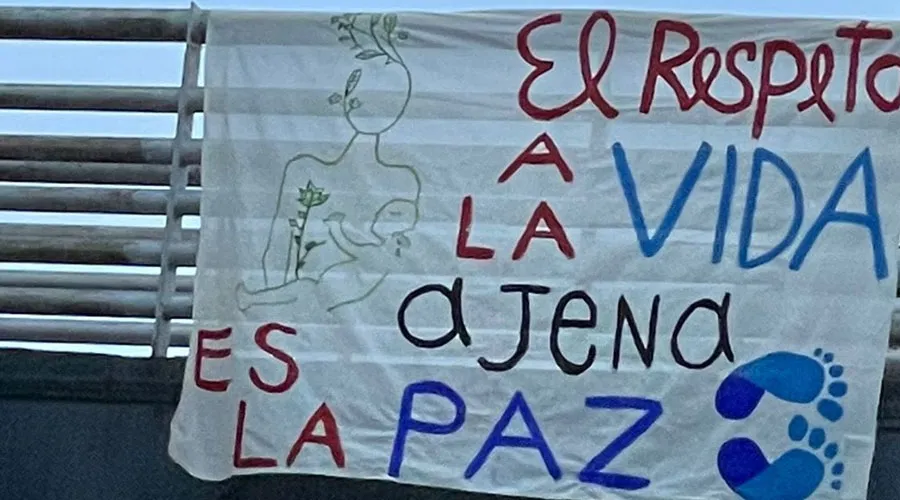Uno de los afiches colgados en las calles de México por Pasos por la Vida