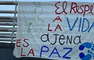 Uno de los afiches colgados en las calles de Mu00e9xico por Pasos por la Vida 