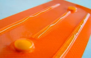 Pu00edldora del du00eda siguiente. Foto: Victor byckttor (dominio publico) 