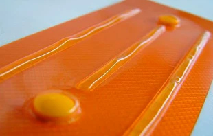 Foto referencial / Fuente: Wikipedia (Dominio Pu00fablico) 