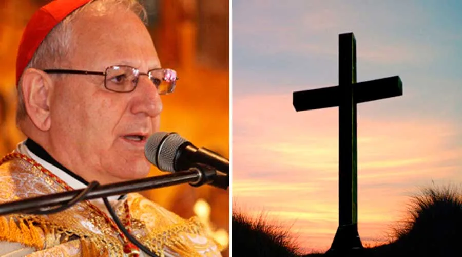 Patriarca católico pide rezar por la paz en Irak en esta Cuaresma - ACI Prensa