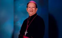 Mons. Paul Bui Van Doc (Foto: Nu Vuong Cong Ly)