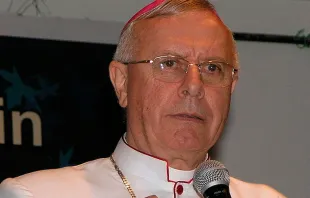 Mons. Paul Hinder. Foto: Wikimedia Commons 