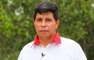 Candidato presidencial Pedro Castillo / Cru00e9dito: Cortesu00eda de ANDINA/Braian Reyna. 