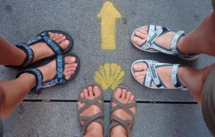 Peregrinos / Cru00e9dito: Flickr Xacobeo - Camino de Santiago (CC-BY-NC-SA-2.0) 