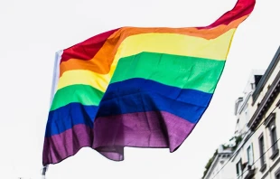 Imagen referencial / Cru00e9dito: Unsplash 