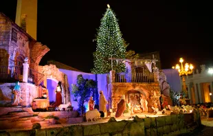 Pesebre y árbol de Navidad en el Vaticano / Foto: Lauren Cater (ACI Prensa) 
