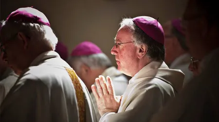 Obispo pide un Sínodo extraordinario a raíz de escándalos sexuales