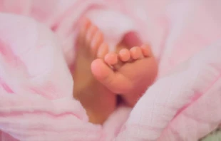 Imagen referencial. Cru00e9dito: Bonnie Kittle / Unsplash. 