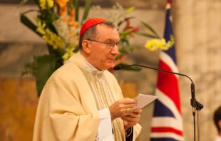Foto : Cardenal Pietro Parolin / Cru00e9dito : Flickr UK In Holy See (CC-BY-NC-2.0)  Flickr UK In Holy See (CC-BY-NC-2.0)