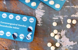 Imagen referencial. Cru00e9dito: Simone van der Koelen / Unsplash. 