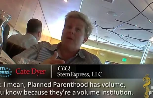 Foto: Captura de video / YouTube. 