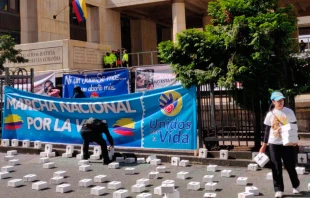 Una imagen al inicio del plantu00f3n ante la Corte Constitucional de Colombia. Cru00e9dito: Unidos por la Vida 