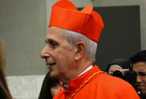 Cardenal Mario Aurelio Poli. Foto: ACI Prensa