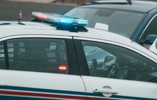 Imagen referencial. Cru00e9dito: Foto de Erik Mclean / Pexels 