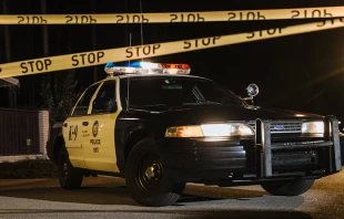 Imagen referencial | Cru00e9dito: Foto de cottonbro - Pexels 