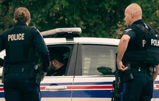 Imagen referencial | Cru00e9dito: Pexels 