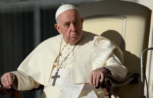 El Papa Francisco en la Audiencia General de este miu00e9rcoles. Cru00e9dito: Vatican Media 