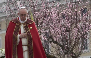 Foto Sabrina Fusco / ACI Prensa 