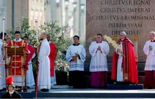 El Papa en la celebración del Domingo de Ramos hoy en el Vaticano. Foto: Daniel Ibáñez / ACI Prensa 