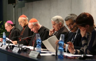 Presentaciu00f3n de la exhortaciu00f3n Amoris Laetitia en el Vaticano. Foto Daniel Ibu00e1u00f1ez / ACI Prensa 