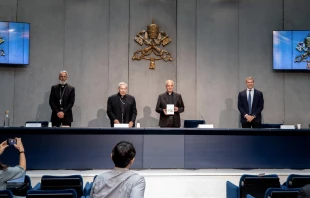 Presentaciu00f3n del nuevo Directorio para la Catequesis. Foto: Daniel Ibu00e1u00f1ez / ACI Prensa 