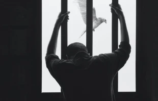 Imagen referencial. Cru00e9dito: Unsplash 