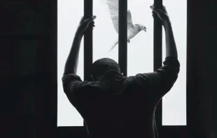 Imagen referencial. Cru00e9dito: Unsplash 