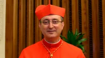 Cardenal Sérgio da Rocha / Crédito: Daniel Ibañez - ACI Prensa