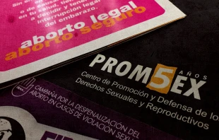 Material promocional de ONG Promsex. Foto: Archivo / ACI Prensa. 