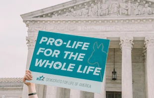 Imagen referencial. Cru00e9dito: Foto de Maria Oswalt en Unsplash 