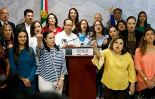 Defensores de la vida y la familia en Palacio Legislativo Federal de Mu00e9xico. Cru00e9dito: Cortesu00eda Frente Nacional por la Familia. 