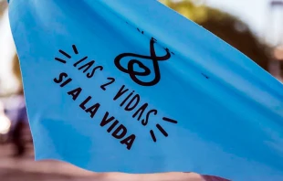 Imagen referencial / Cru00e9dito: Unidad Provida 