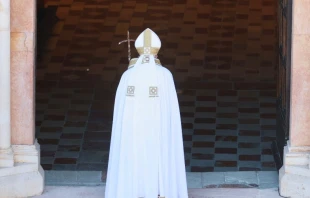 Papa Francisco abre la Puerta Santa de Celestino V. Cru00e9dito: Daniel Ibu00e1u00f1ez/ACI Prensa 