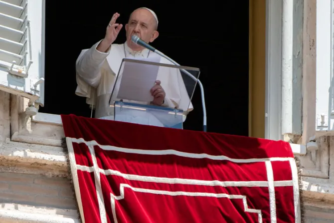 Día Mundial del Donante de Sangre: El Papa invita a ser donante