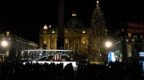 Árbol y Pesebre del Vaticano. Foto: Vatican Media