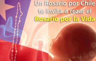 Foto : Banner Quinta Cruzada del Rosario por la vida / Cru00e9dito : Un rosario por Chile  Un rosario por Chile