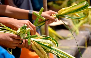 Imagen referencial. Cru00e9ditos: Pixabay 